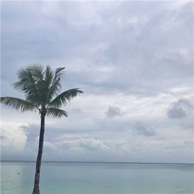黎明之海手游官方正式服下载